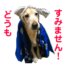 [LINEスタンプ] マーリースタンプ 