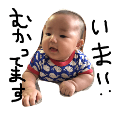 [LINEスタンプ] トラのすけとワンコの日々 