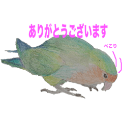 [LINEスタンプ] コザクラインコのライム 