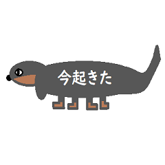 [LINEスタンプ] 汎用性の高いダックスフント 