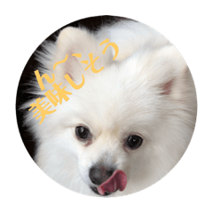 [LINEスタンプ] 僕、リク 