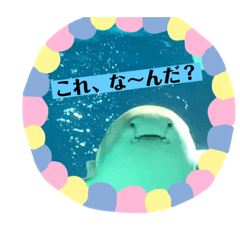 [LINEスタンプ] 水族館にて 