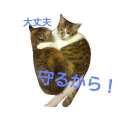 [LINEスタンプ] ツンデレヤンヤン②