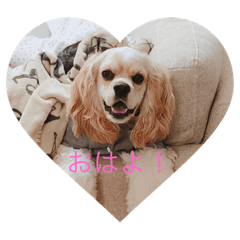 [LINEスタンプ] LADYスタンプ fetchpriority=high