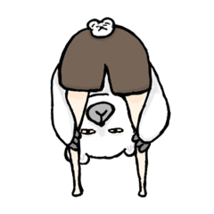 [LINEスタンプ] ポーカーフェイスなシロクマさん 