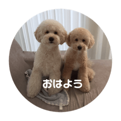 [LINEスタンプ] 愛犬らぶり＆アーサーのスタンプです