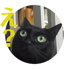 [LINEスタンプ] エルの。 