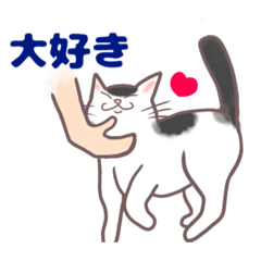 [LINEスタンプ] コンビニエンス猫