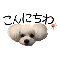[LINEスタンプ] るぅちゃんのスタンプ 
