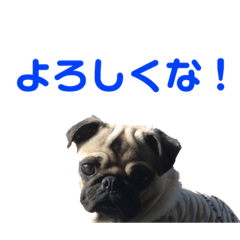 [LINEスタンプ] ジェイとムギ スタンプ1 