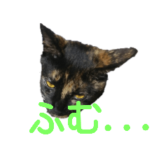 [LINEスタンプ] さびねこのザクロ 