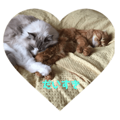 [LINEスタンプ] みるくとトム
