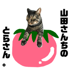[LINEスタンプ] 猫のとらさんスタンプ。。パートⅡ