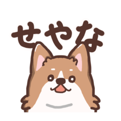 [LINEスタンプ] ゆるコーギー2【エセ関西弁】
