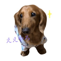 [LINEスタンプ] まんじまる 