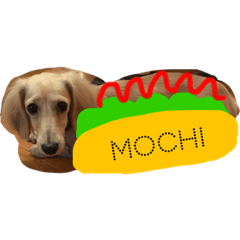 [LINEスタンプ] Tansoku Mochi 3 fetchpriority=high