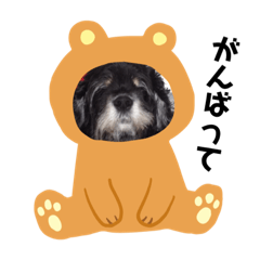 [LINEスタンプ] 愛猫と愛犬 fetchpriority=high