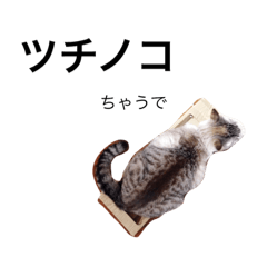 [LINEスタンプ] ぎんじくんだよ 