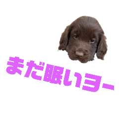 [LINEスタンプ] さっくりサクサク 