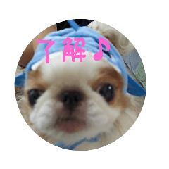 [LINEスタンプ] はなちゃんスタンプ～2