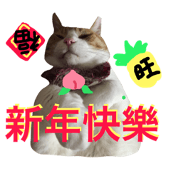 [LINEスタンプ] 台湾語を話すぽっちゃり茶白猫