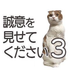 [LINEスタンプ] ねこスタンプ【スコティッシュ】③ビジネス