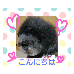 [LINEスタンプ] トイプーあじちゃん2