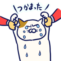 [LINEスタンプ] のほほんなネコのスタンプ fetchpriority=high