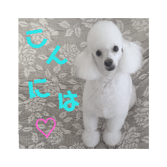 [LINEスタンプ] ジョニーのひとことスタンプ 