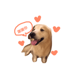 [LINEスタンプ] 犬めっちゃ可愛い 