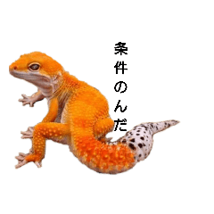 [LINEスタンプ] 何時使うんだ！ヒョウモントカゲモドキ 