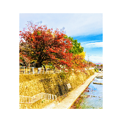 [LINEスタンプ] 都賀川の紅葉