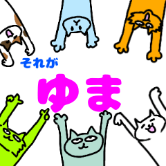 [LINEスタンプ] ゆまという猫たちの画像（メイン）