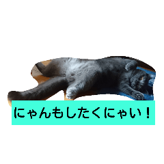 [LINEスタンプ] ぶりぶりブリティッシュ