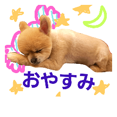 [LINEスタンプ] サムライくん 1