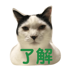 [LINEスタンプ] あたちよ ナヴィよ4