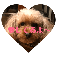 [LINEスタンプ] マフィンとポッキー