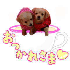 [LINEスタンプ] 可愛い愛犬スタンプ！冬用 日常会話