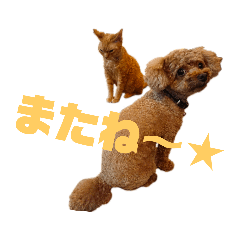 [LINEスタンプ] りぼんととらん fetchpriority=high
