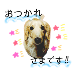 [LINEスタンプ] ミニチュアダックスのムック 