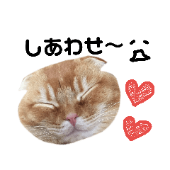 [LINEスタンプ] じるちゃいスタンプ fetchpriority=high