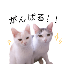 [LINEスタンプ] 齋藤さんちのアリタビ2 