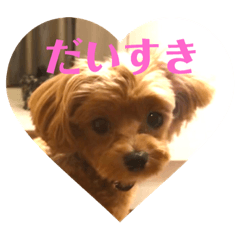 [LINEスタンプ] マルプーのぷー   3