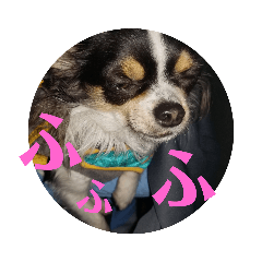 [LINEスタンプ] まろきゅ2