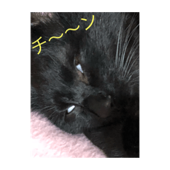 [LINEスタンプ] 硫黄と竜持の日常 
