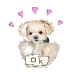 [LINEスタンプ] chimomo 