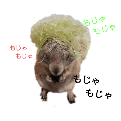 [LINEスタンプ] 前歯産業㈱プレーリードッグ、ジリス課⑵