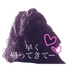 [LINEスタンプ] ぶんぶく①