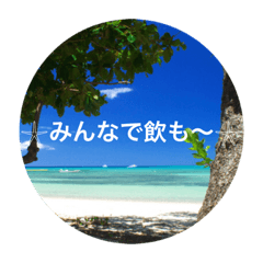[LINEスタンプ] 南ぬ島石垣島〜離島3"の画像（メイン）
