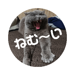 [LINEスタンプ] とにかく眠いスチュワート